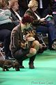 Crufts2011_2 609